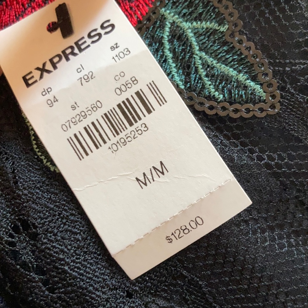 Express Embroidered Dress - Picture 6 of 6